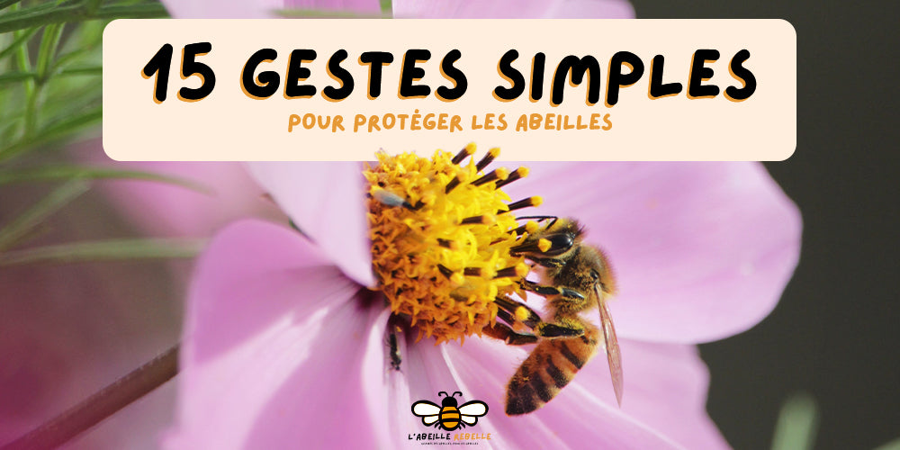 15 gestes simples pour protéger les abeilles